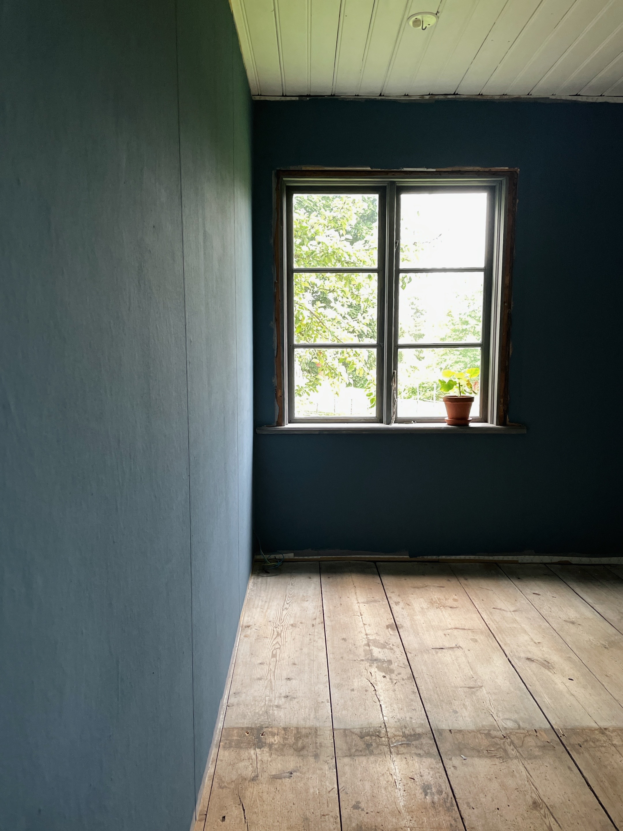 Lumppapp på väggarna