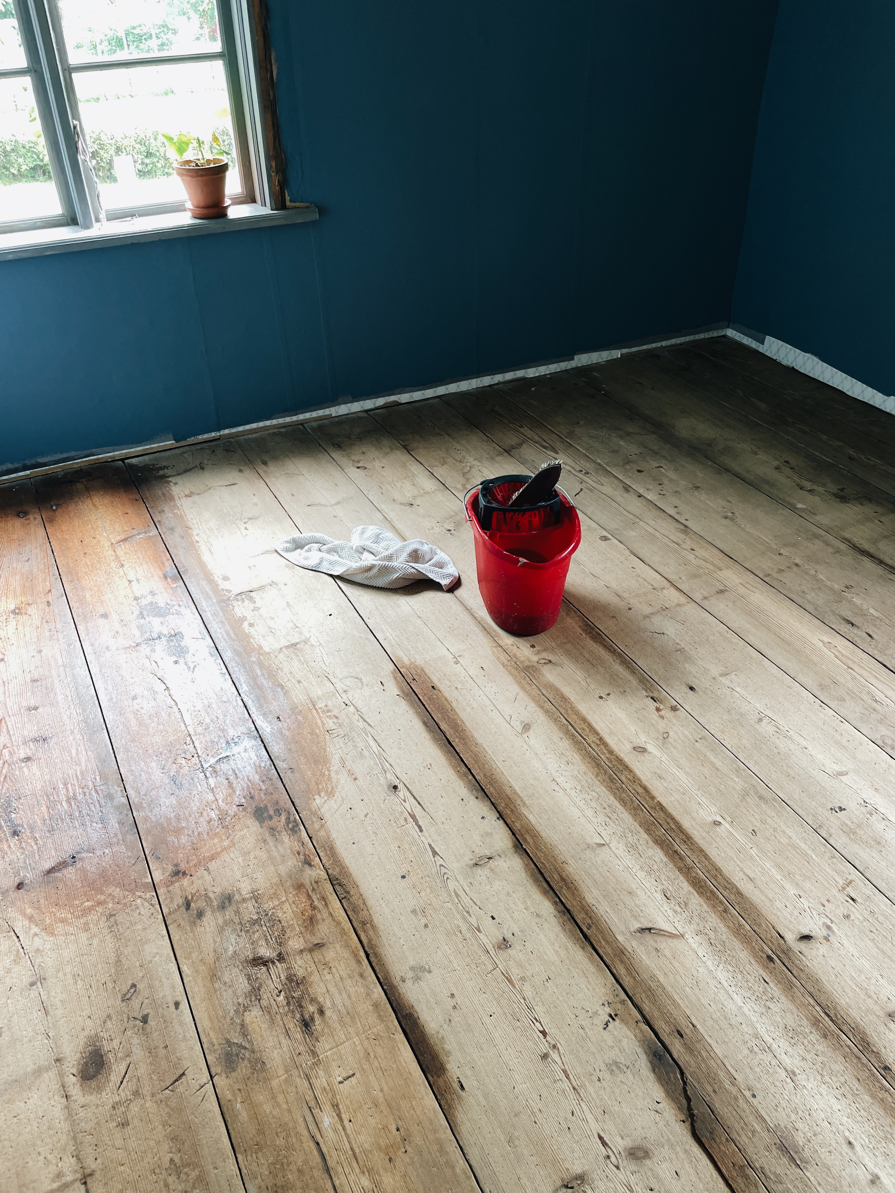 Rengjort furugolv i dagsljus efter skurning